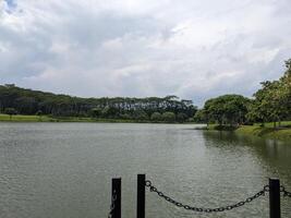 panorama lago, rastrear e de madeira doca em bsb semarangue, central Java. a foto é adequado para usar para viajante conteúdo meios de comunicação, feriado fundo e jardim poster.