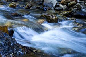 grandes exposição pequeno corrente fluindo sobre pedras foto