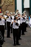 marysville, ca, 2011 - adolescente Rapazes e meninas dentro marcha banda parada foto