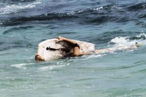 kona, oi, 2016 - adolescente menina com remo borda dentro oceano ondas em lado debaixo água foto