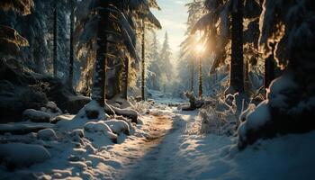 ai gerado inverno beleza neve coberto árvores, tranquilo cena, luz solar através galhos gerado de ai foto