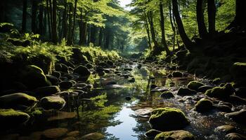 ai gerado tranquilo cena verde floresta, fluindo água, refletindo a beleza gerado de ai foto