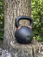 pesado ferro kettlebell dentro uma quintal debaixo carvalho árvore - ao ar livre ginástica conceito foto