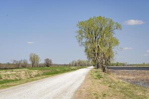 sujeira Visitante estrada para aves aquáticas vendo dentro loess blefes nacional animais selvagens refúgio, Missouri foto