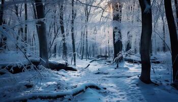 ai gerado inverno panorama neve coberto árvores, congeladas galhos, tranquilo cena, gelado beleza gerado de ai foto