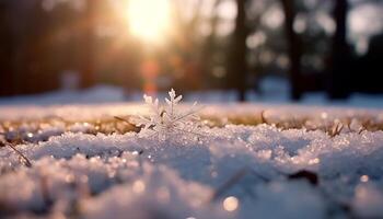 ai gerado inverno floresta neve coberto árvores, gelado folhas, luz solar através azul céu gerado de ai foto