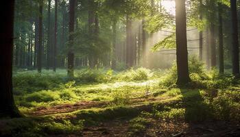 ai gerado a tranquilo floresta revela a beleza do natureza mistério gerado de ai foto