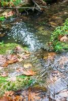 uma estreito, raso rio com Claro água fluindo sobre pedras e caído folhas. foto