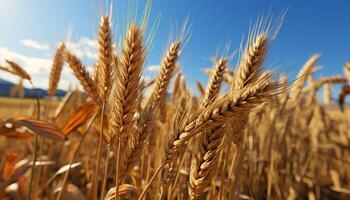 ai gerado rural cena amarelo trigo crescimento, maduro cevada, outono colheita gerado de ai foto