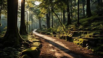 ai gerado tranquilo outono floresta, luz solar através verde folhas, natureza sereno beleza gerado de ai foto