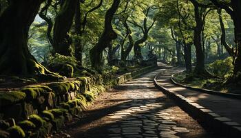 ai gerado tranquilo floresta caminho revela a beleza do natureza mistério gerado de ai foto