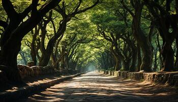 ai gerado tranquilo floresta caminho, verde folhas, outono cores, pacífico natureza gerado de ai foto