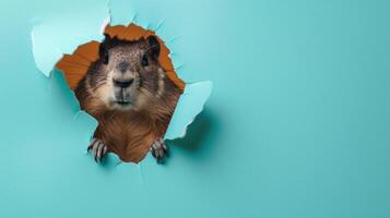 ai gerado uma humorístico marmota pares através uma rasgado orifício dentro uma contraste pastel cor papel fundo, ai gerado foto