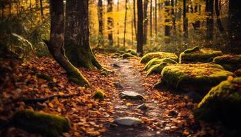 ai gerado tranquilo outono floresta, vibrante cores, caminhada aventura gerado de ai foto