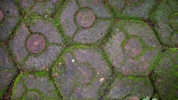 a estrada é fez do ordenadamente arranjado hexagonal tijolos, cercado de Relva e musgo cobertura isto. foto