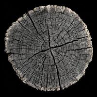 ai gerado cinzento árvore registro textura isolado em uma Preto fundo, mostrando a detalhes do a madeira grão e argolas foto