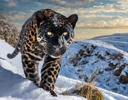 ai gerado fechar-se do uma melanístico jaguar foto