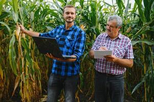 Senior e jovem agricultor em pé dentro uma milho campo com tábua, olhando e apontando ausente, elas estão examinando corp às pôr do sol foto