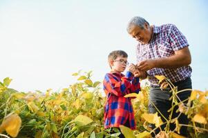 família agricultura. agricultores avô com pequeno Neto em soja campo. a avô ensina a Neto família negócios. foto