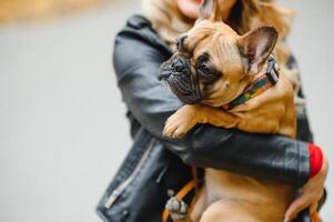 mulher com cachorro passeando no parque foto