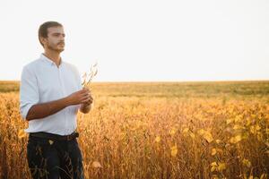 jovem agricultor em campos de soja foto