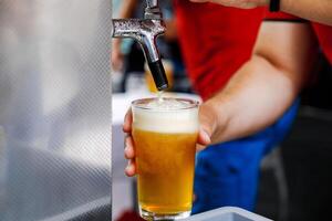 barman servindo uma recentemente derramado esboço, projeto Cerveja dentro uma vidro foto