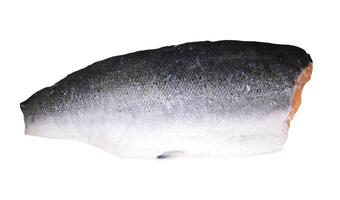 fatiado salmão isolado em branco fundo foto