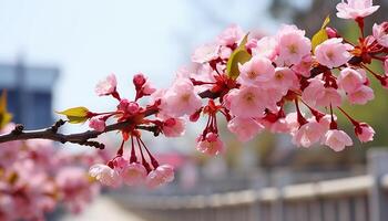 ai gerado fresco Rosa flores decorar natureza vibrante primavera beleza gerado de ai foto