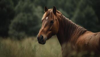 ai gerado jovem cavalo pastar dentro uma verde Prado em uma Fazenda gerado de ai foto