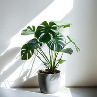 ai gerado monstera em vaso plantar em mesa. generativo ai. foto