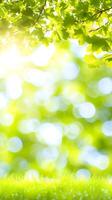 ai gerado luz solar filtros através árvore folhas. generativo ai. foto