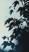 ai gerado Preto e branco foto do uma frondoso árvore. generativo ai.