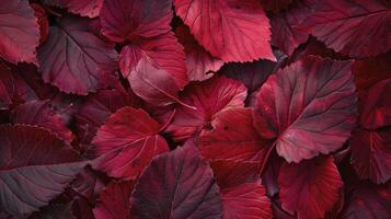 ai gerado vermelho outono folhas textura fundo foto
