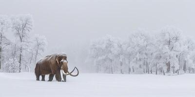 ai gerado uma lanoso mamute anda em através a Nevado terras do a gelo era foto