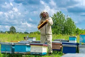 cheio comprimento Visão do a apicultor trabalhando em paisagens com confiante expressão. agrário natural verão favos de mel conceito foto