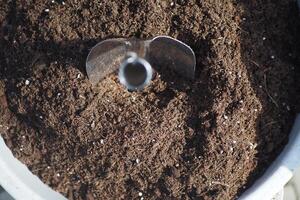 turfa de coco e ferramentas de jardinagem uma mesa com espaço de cópia foto