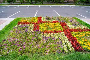 verão floral jardinagem. lindo colorida flores em a campo. foto