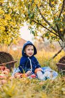 fofa pequeno criança dentro maçã Pomar. jovem pequeno criança com maçãs dentro jardim. foto