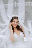 Casamento retrato. uma morena noiva é posando dentro natureza, coberto com uma grandes véu. lindo mãos. renda vestir. foto