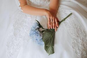 hortênsia flor dentro a mãos do a noiva. Casamento detalhes. a primeiro encontro do a noiva e noivo. a noiva é esperando para a noivo. retrato do a noiva. foto