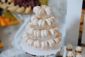 amêndoa biscoitos, doce bolos para uma Casamento banquete. uma delicioso recepção, uma luxuoso cerimônia. mesa com doces e sobremesas. delicioso colorida francês sobremesas em uma prato ou mesa. doce bar. foto