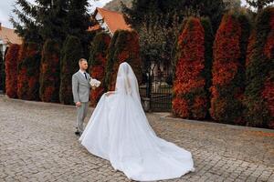 Casamento foto. uma morena noiva dentro uma volumoso renda vestir detém uma ramalhete e anda em dentro a jardim dentro frente do a noivo, sorridente sinceramente. linda cabelo e inventar. moda e estilo. celebração. foto