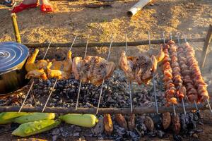 delicioso churrasco Kebab e galinhas grelhar em aberto grade. foto