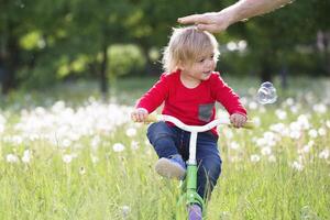 pequeno bebê em uma bicicleta em uma verde Prado. dois ano velho Garoto em uma triciclo. criança jogando em a campo com dentes de leão foto