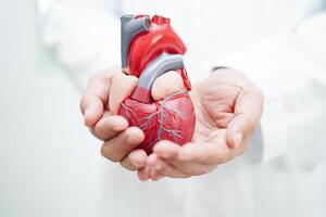 cardiovascular doença cvd, médico com coração humano modelo anatomia para tratamento paciente dentro hospital. foto