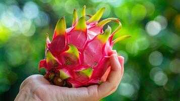 ai gerado mão segurando Dragão fruta, seleção em borrado fundo com cópia de espaço para texto posicionamento foto