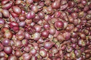 vermelho cebola coleção padronizar a partir de topo Visão ou plano deitar foto