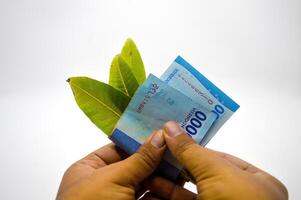 mão segurando cinquenta mil rupia notas guardada com três folhas isolado em branco fundo foto