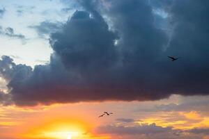 pôr do sol Visão com gaivotas e dramático nuvens foto