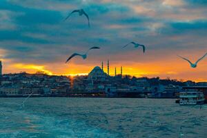 Istambul Visão às pôr do sol com mesquita e gaivotas foto
